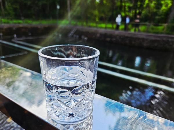 갓 용출된 내두천 물은 맑고 투명하며 침전물은 보이지 않았다 사진홍승완 기자