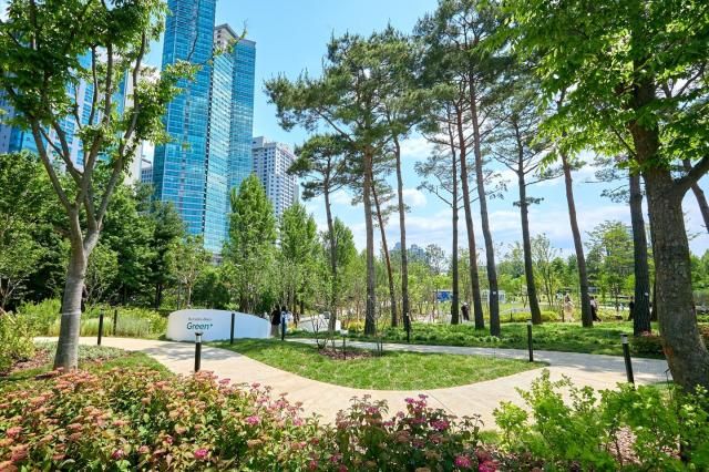 사진메르세데스벤츠 서울 보라매공원 숲