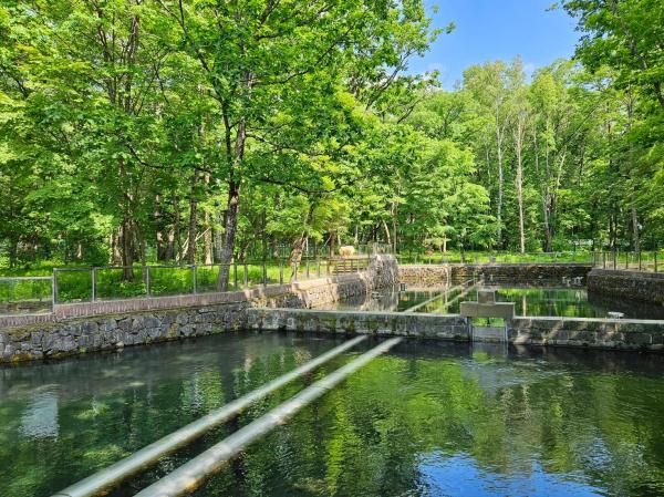 중국 지린성 이도백하에 있는 농심 백산수 내두천 수원지의 모습 사진홍승완 기자