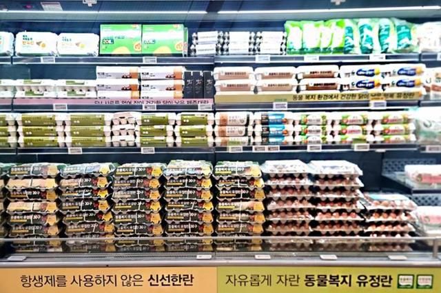 이랜드킴스클럽 계란 매대 사진이랜드킴스클럽