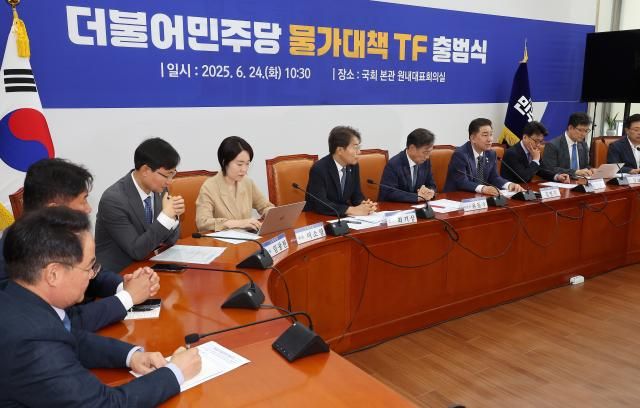 김병기 더불어민주당 당 대표 직무대행 겸 원내대표오른쪽 네번째가 24일 국회에서 열린 물가대책TF 출범식에서 발언하고 있다 사진연합뉴스