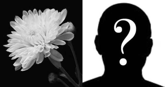 사진픽사베이 캡처