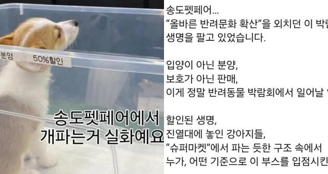 사진AFTO 공식 인스타그램 캡처