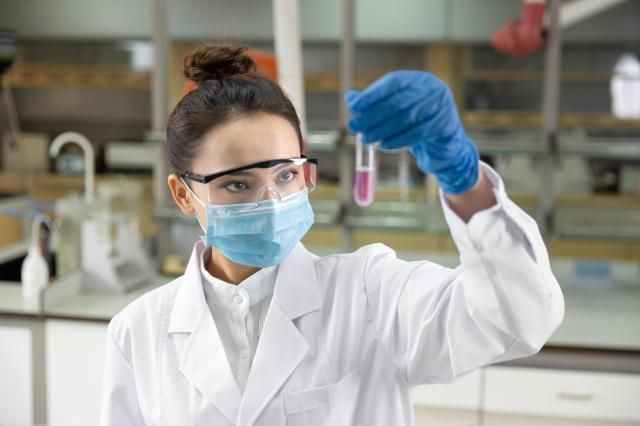 사진게티이미지뱅크