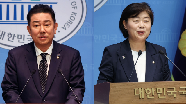 김병기 더불어민주당 의원사진 왼쪽 서영교 더불어민주당 의원오른쪽 기호순 사진연합뉴스