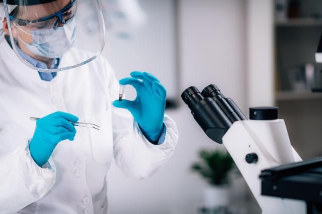 사진게티이미지뱅크