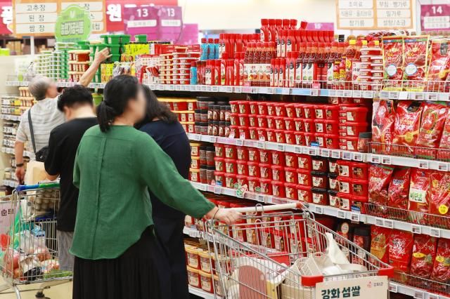 서울의 한 대형마트에서 장을 보는 시민들 모습 사진연합뉴스 