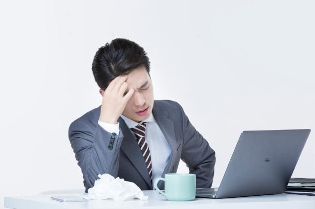 사진클립아트코리아