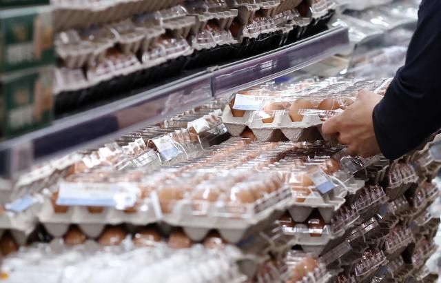 대형마트들 계란값 안 올린다…이윤 줄이고 가격인상 막아 서울연합뉴스 윤동진 기자 계란값이 4년 만에 최고치로 뛰면서 대형마트들도 비상이 걸렸다 계란이 장바구니 물가 대표 품목인 만큼 납품가가 10∼20 올랐음에도 이윤을 줄이면서 소비자 가격을 8천원 미만으로 유지하기 위해 최대한 인상을 막기로 했다 사진은 22일 서울의 한 대형마트 2025622 monynacokr2025-06-22 122229 저작권자 ⓒ ㈜연합뉴스 무단 전재 재배포 금지 AI 학습 및 활용 금지저작권자 ⓒ ㈜연합뉴스 무단 전재 재배포 금지 AI 학습 및 활용 금지