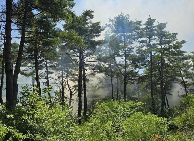경남 거창 야산에서 원인미상의 불이 났다 사진산림청