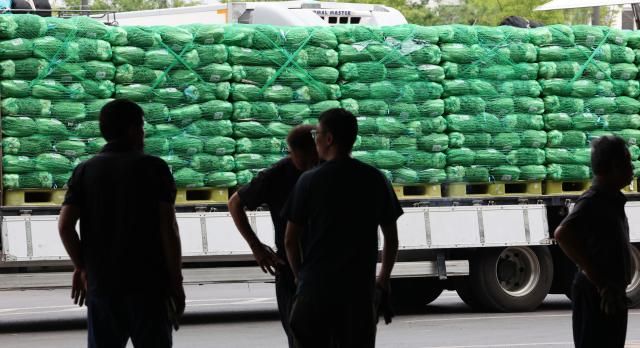 13일 서울 송파구 가락동 농수산물도매시장에서 배추를 실은 트럭이 경매를 위해 대기해 있는 모습 사진연합뉴스