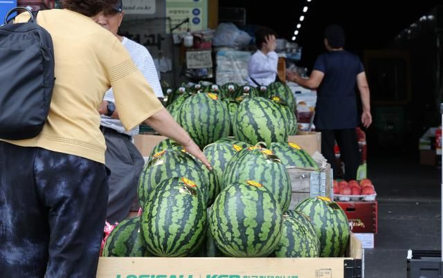 올여름 이른 무더위가 찾아와 농축산물을 강타했다 최근 일주일 새 수박과 배춧값은 20 넘게 뛰었고 초복을 앞두고 닭고기 값도 오름세다 한국농수산식품유통공사aT에 따르면 수박 평균 소매 가격은 지난 11일 기준 1개에 2만9천115원으로 3만원에 근접했다 사진은 13일 서울 송파구 가락동농수산물도매시장에서 시민들이 수박을 구입하는 모습 