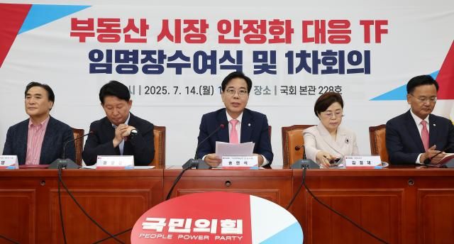 송언석 국민의힘 비상대책위원장 겸 원내대표가운데가 14일 국회에서 열린 부동산 시장 안정화 대응 TF 임명장 수여식 및 1차 회의에서 발언하고 있다 사진연합뉴스