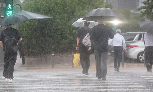 서울 서남권에 호우주의보가 발효된 8일 서울 영등포구 여의도 국회 인근에서 시민들이 우산을 쓰고횡단보도를 건너고 있다 사진연합뉴스