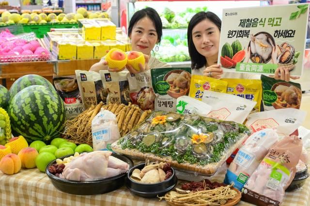  16일 서울 서초구 농협유통 하나로마트 양재점에서 모델들이 초복 맞이 보양식을 소개하고 있다 사진농협유통