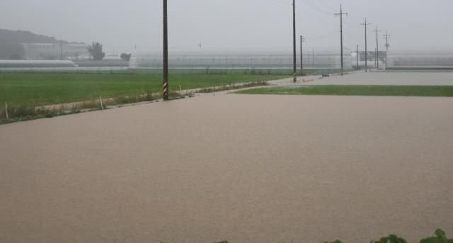 집중호우가 쏟아진 17일 오전 충북 청주시 오송읍 호계리 일대가 물에 잠겨 있다 사진연합뉴스