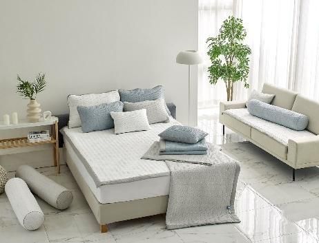 이브자리 쿨파스 사진이브자리