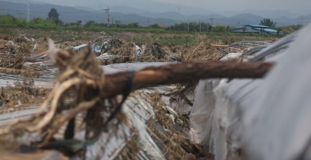 지난 21일 오전 경남 산청군 신안면 일대 딸기 재배 비닐하우스가 최근 내린 폭우로 크게 파손돼 있다 사진연합뉴스