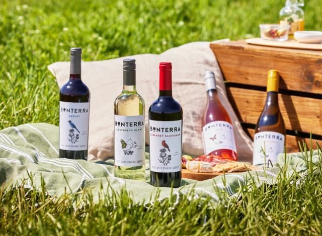 미국 유기농 와인 본테라 사진아영FBC