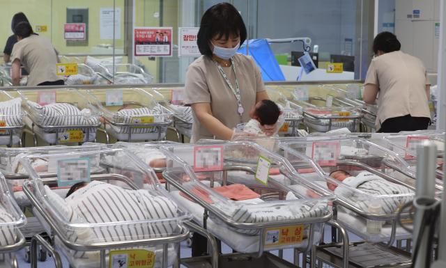 인천 미추홀구 아인병원에서 의료진이 신생아들을 보살피고 있다 사진연합뉴스 