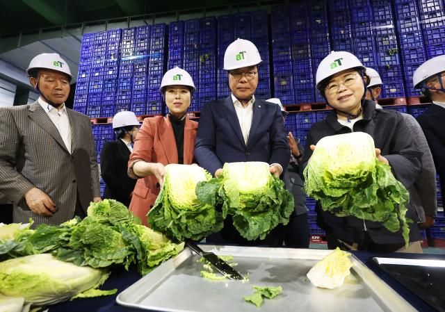 송언석 국민의힘 비상대책위원장 겸 원내대표가 폭우폭염으로 인한 농산물 물가 대응 점검을 위해 25일 경기도 이천시 대월면 aT 한국농수산식품유통공사 이천 비축기지를 방문해 보관 중인 배추를 살펴보고 있다 사진연합뉴스