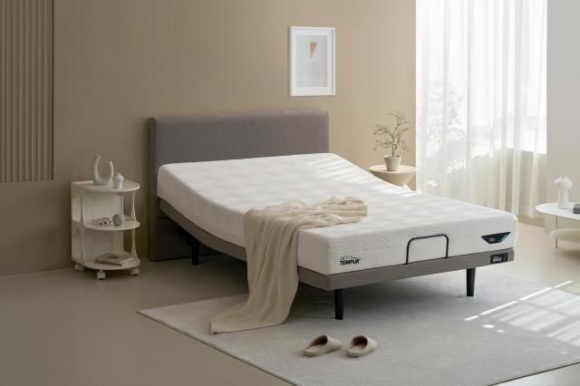 템퍼 어고 30 모션베드 사진템퍼