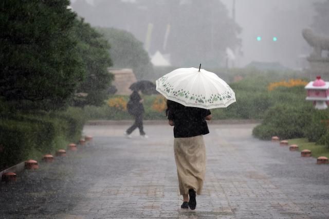 서울 서남권에 호우주의보가 발효된 8일 서울 영등포구 여의도 국회에서 시민들이 우산을 쓰고 있다 사진연합뉴스