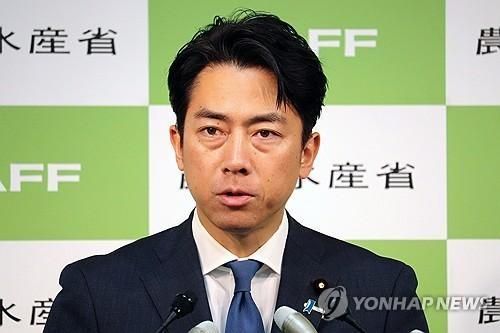 고이즈미 농림수산상 사진연합뉴스