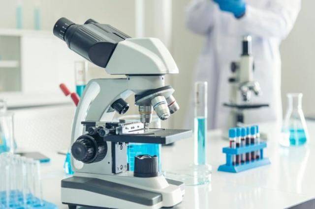 사진게티이미지뱅크