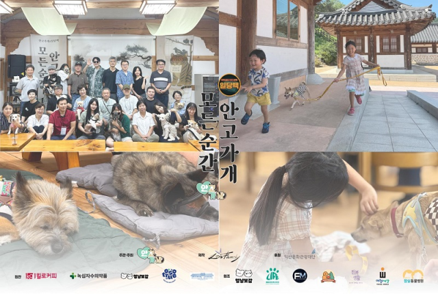 사진안고가개 제공