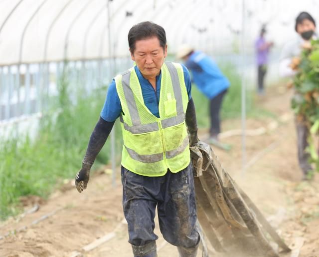 정청래 신임 더불어민주당 대표가 3일 오전 전남 나주시 노안면 오이농가를 찾아 수해 복구 작업을 하고 있다 사진연합뉴스