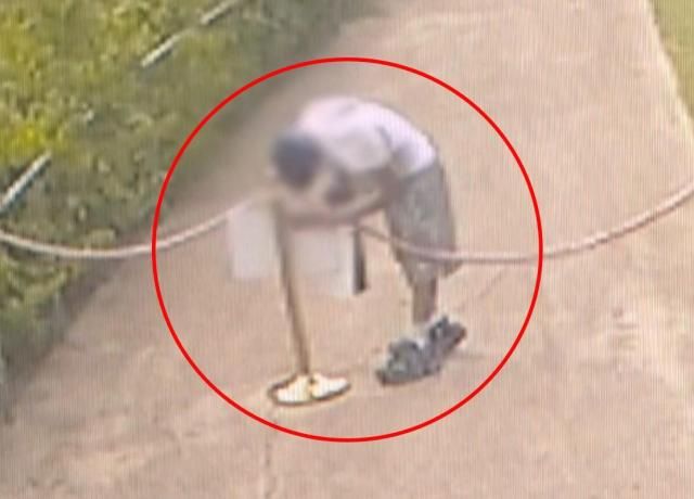 사진서경덕 교수 제공