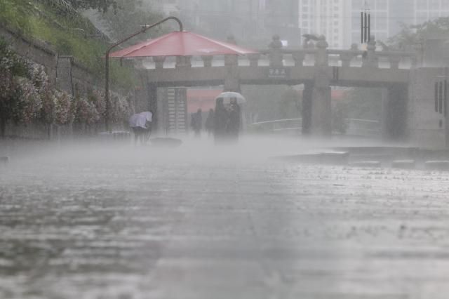8일 서울 청계천에 소나기가 쏟아지고 있다 사진연합뉴스