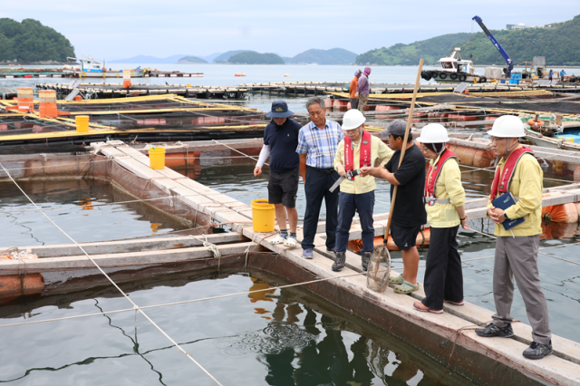 최용석 국립수산과학원 원장은 9일 경남 통영과 거제를 방문해 적조 발생 현장 대응 상황을 점검했다