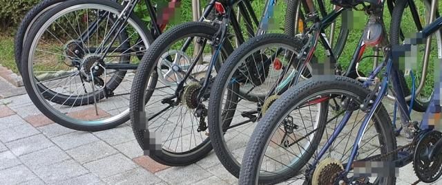 사진은 기사와 관련 없음 사진연합뉴스