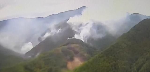 경북 봉화군의 한 야산에서 불이 났다 사진연합뉴스