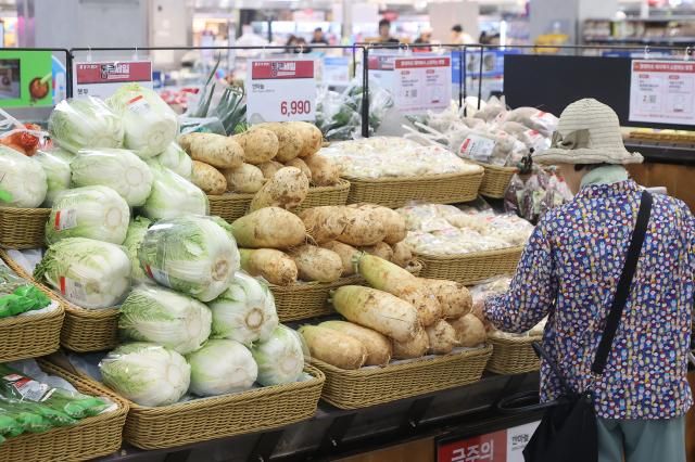서울 시내 대형마트에서 시민이 채소를 고르고 있다 사진연합뉴스