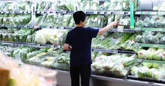 서울 시내 한 대형마트 채소판매대에서 시민들이 장을 보고 있다 사진연합뉴스