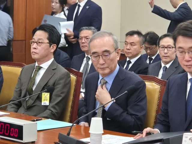 사진나선혜기자