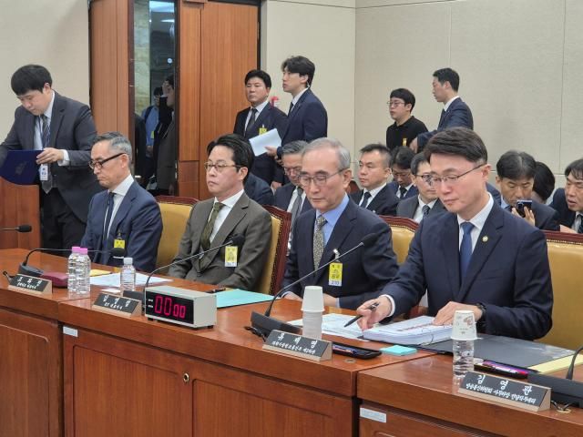 사진나선혜기자