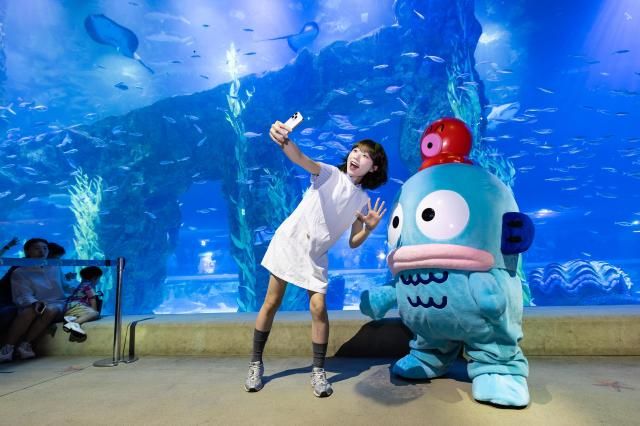 롯데월드 아쿠아리움에서 기념사진을 남길 수 있는 ‘한교동 라이브캐릭터 그리팅’ 행사를 진행하고 있다 사진롯데물산