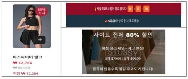 해외 사기 쇼핑몰 갈무리 자료한국소비자원