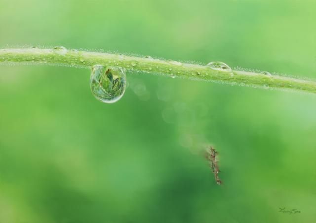 Natural Image 909 x 651 cm Oil on canvas 2023 사진세종대학교