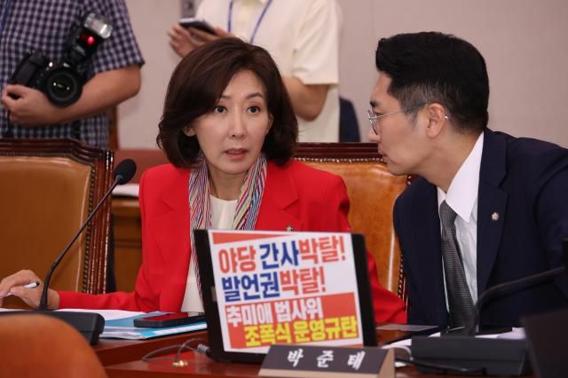 4일 서울 여의도 국회에서 열린 법제사법위원회 전체회의에서 나경원 국민의힘 의원과 박준태 의원이 대화하고 있다사진연합뉴스