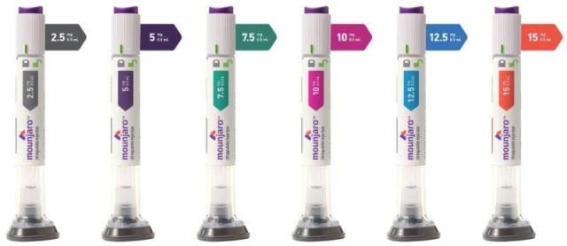 마운자로 사진한국릴리 