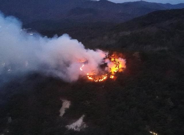 사진울산소방본부·연합뉴스