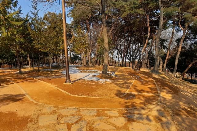 시민공원 내 맨발걷기길사진논산시