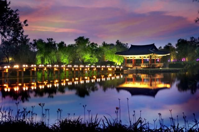 궁남지 야경사진부여군