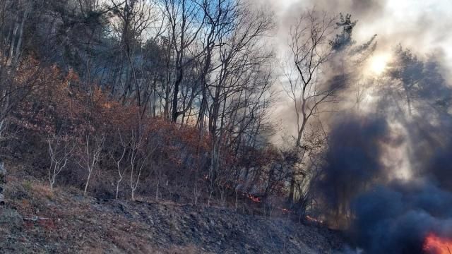 경남 진주시 집현면의 한 야산에서 화재가 발생했다 사진경남소방본부