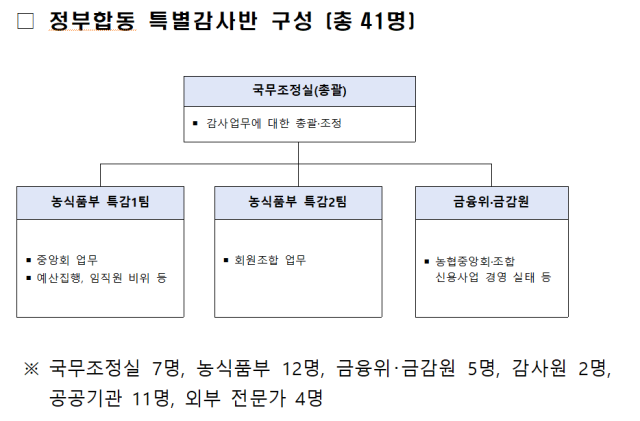 정부합동 특별감사반 구성 및 인원 사진국무조정실